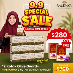 PAY DAY PREMIUM PROMOSI 12 KOTAK + FREE X2 SAFFRON